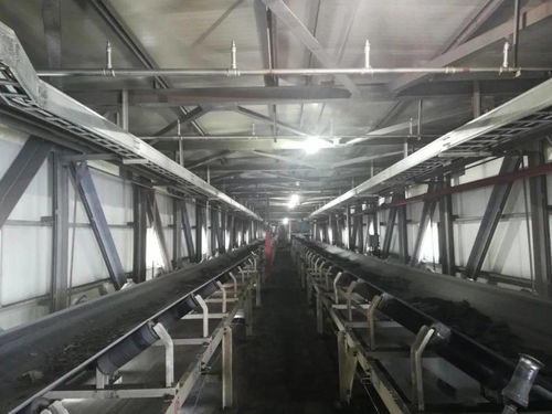 洗選廠月度洗選產量創(chuàng)新高，個人衛(wèi)生用品銷售市場全面開花